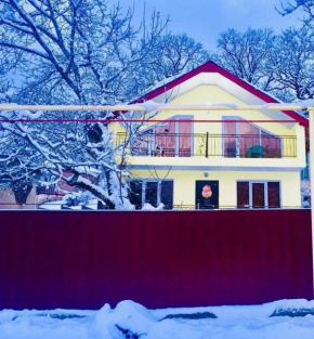 cottage in tsemi (Borjomi)